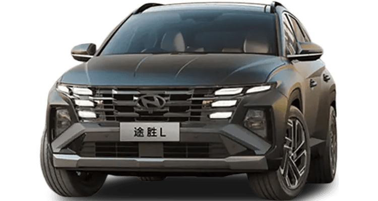 HYUNDAI TUCSON 22 চীন